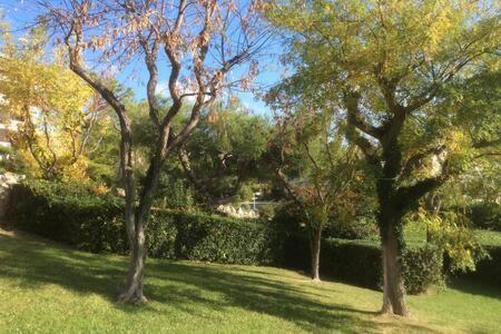 Cassis 4Pers Vue Mer Wifi Tennis Parking Piscine Exteriér fotografie